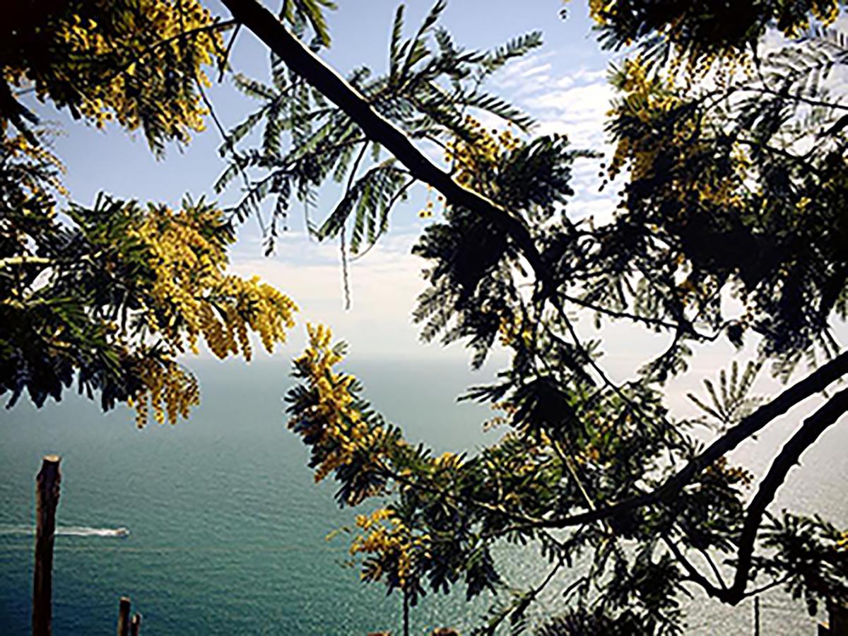 L'antico Borgo Dei Limoni Bed & Breakfast